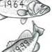 Fishing pole with a fish dangling off it with two other fish below that with a name and date of birt..